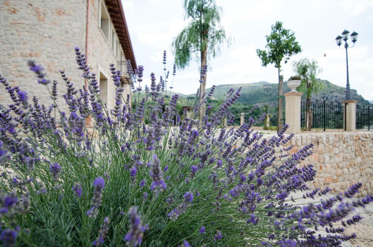 Maison d'hôtes Casale Madeccia à Sonnino Extérieur photo